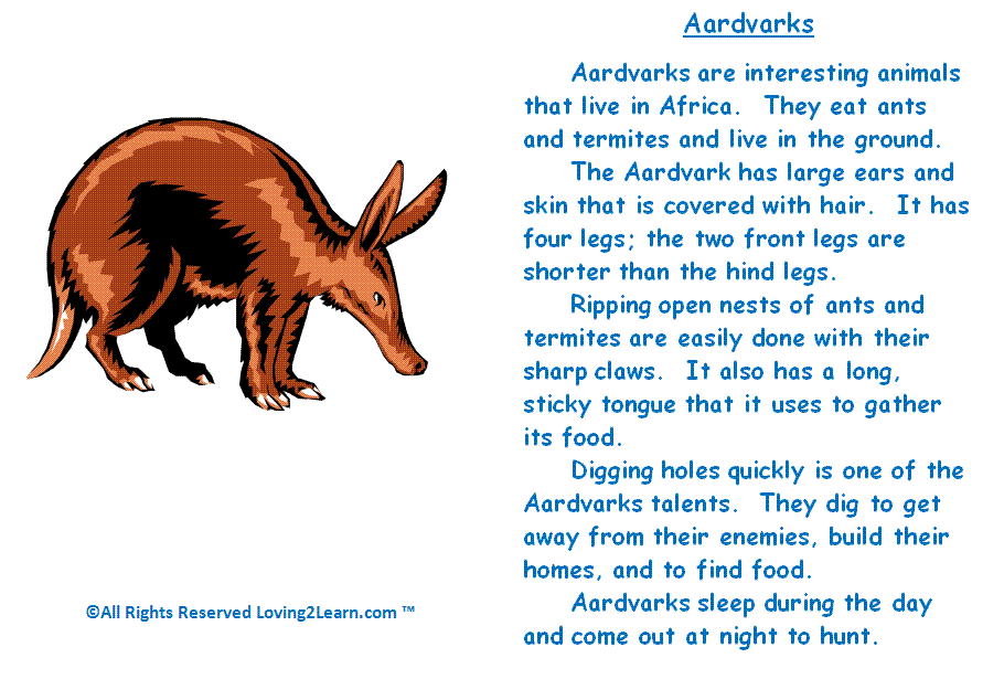 Discover and Read Nonfiction: Aardvarks and Learning about Aardvarks Videos