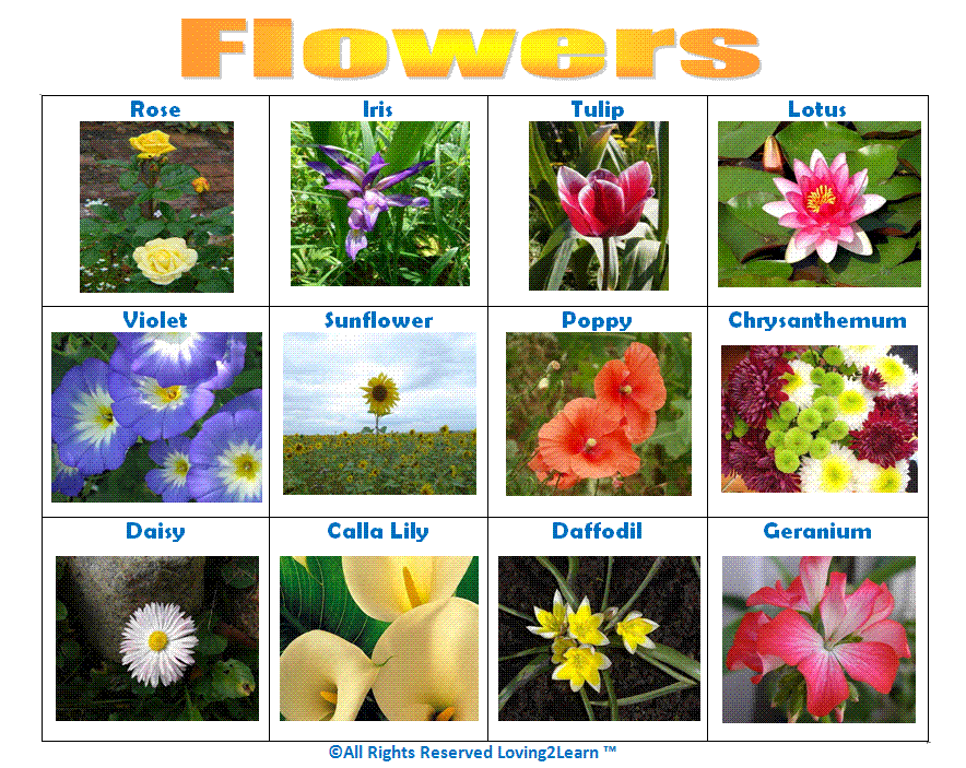 Flower Chart For Kids