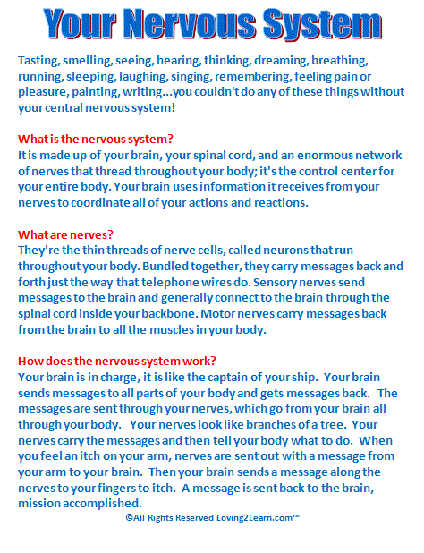 Feeling nervous essay image